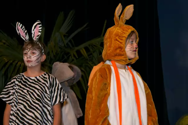 Foto: (c) Gerhard Schwingenschlögl