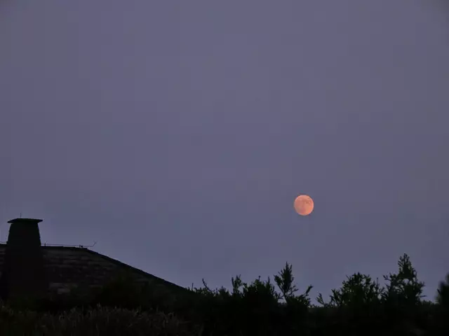 - Fotos 8 bis 14 / 09.06.2025, 20:16 bis 20:22 -
Am Abendhimmel des 09.06.2025 zeigte sich der Mond in rosafarbenem bis blassrotem Ton. ... | Foto: © Silvia Plischek