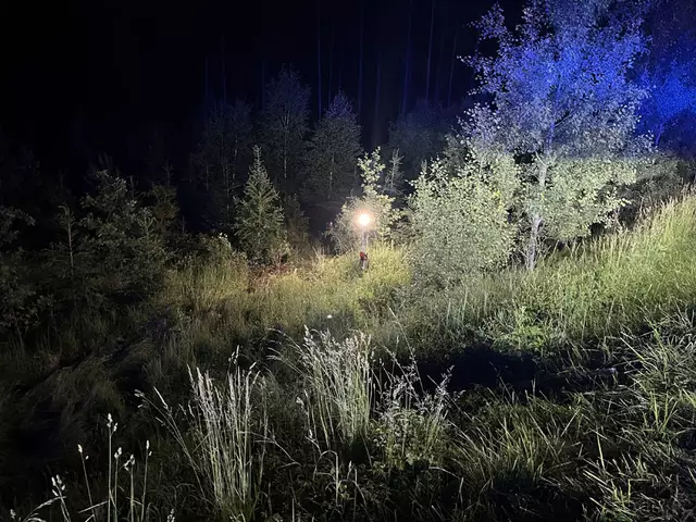 Foto: FF Waidhofen/Thaya