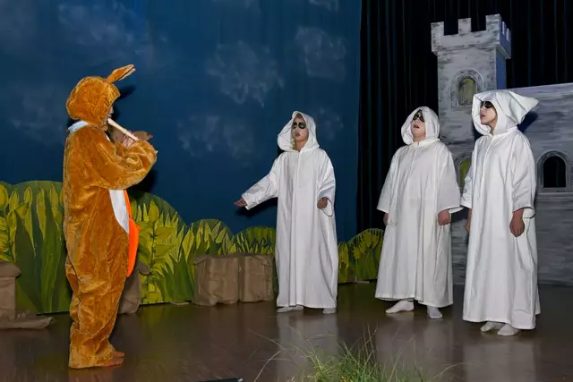 Foto: (c) Gerhard Schwingenschlögl