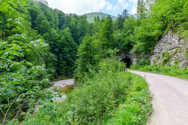 Der Weg führt immer am Bach entlang