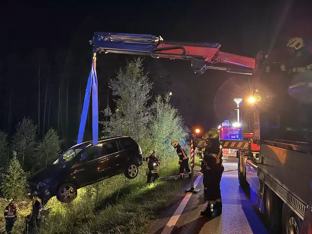 Bergung durch die Feuerwehr | Foto: FF Waidhofen/Thaya