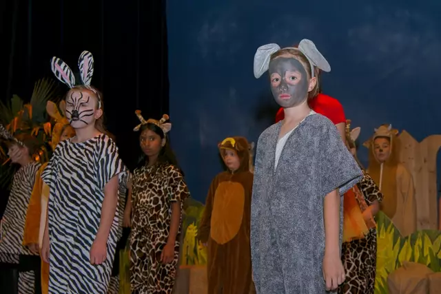 Foto: (c) Gerhard Schwingenschlögl