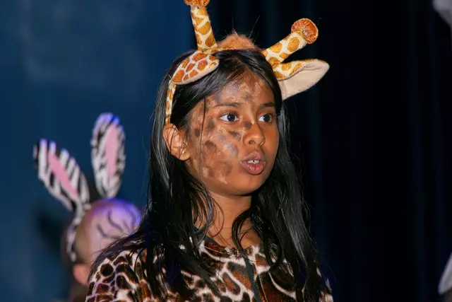 Foto: (c) Gerhard Schwingenschlögl