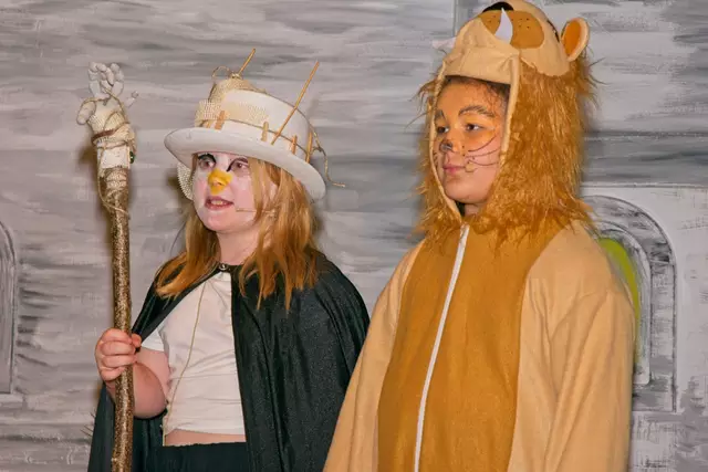 Foto: (c) Gerhard Schwingenschlögl