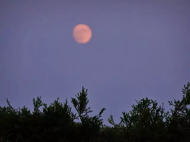 - Fotos 8 bis 14 / 09.06.2025, 20:16 bis 20:22 - | Foto: © Silvia Plischek