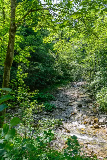 Bachlandschaft bei Weißwasser