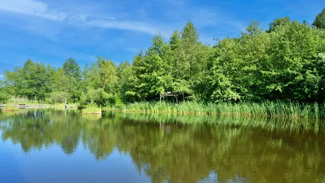Der Naturpark Hochmoor Schrems steht im Zentrum des Vorhabens. Schrems soll in naher Zukunft als Stadt der Feuchtgebiete gelten. | Foto: Stiftung COMÚN/Laura Boob