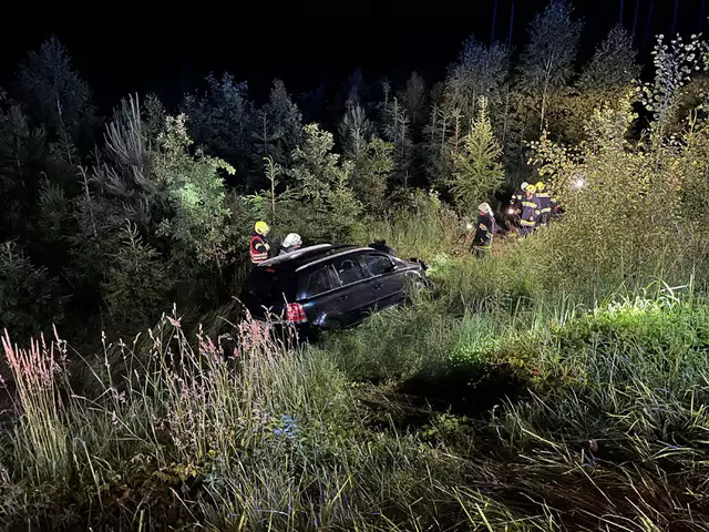 Der PKW kam in einem Waldstück zum Stillstand. | Foto: FF Waidhofen/Thaya
