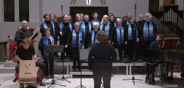 Der Chor "LieSingers". | Foto: Gert Kozak/LieSingers