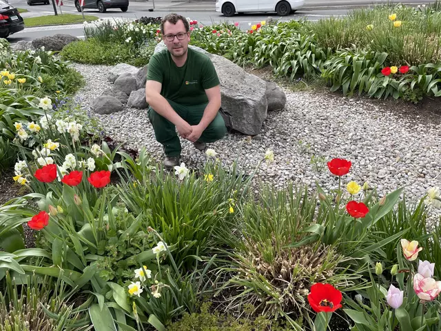 Mit Leib und Seele Gärtner: Stadtgärtner Markus Iwanoff zeigt die bunt blühenden Kreisverkehre | Foto: Lisa Gold 