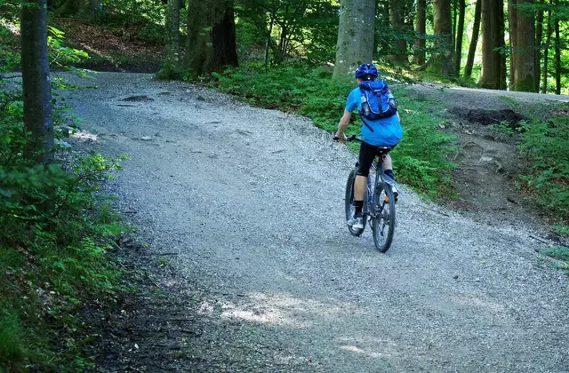 Der 56-Jährige aus dem Bezirk Bruck-Mürzzuschlag war mit seinem Mountainbike am Knablweg (Forststraße) im Ortsteil Kleinveitsch unterwegs. | Foto: Symbolbild pixabay