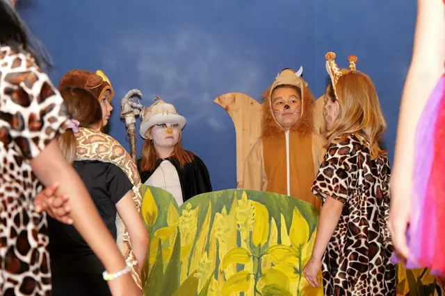 Foto: (c) Gerhard Schwingenschlögl