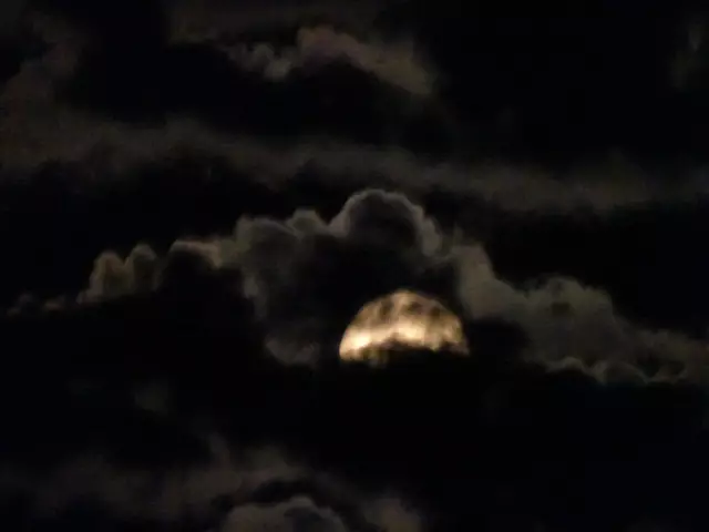 - Fotos 19 bis 22 / 10.06.2025, 22:58 bis 23:05 - | Foto: © Silvia Plischek