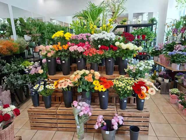 Ein Paradies voll Blumen - Blumenkorb, Eichenstraße 48 | Foto: Michael Ellenbogen