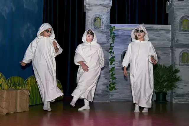 Foto: (c) Gerhard Schwingenschlögl