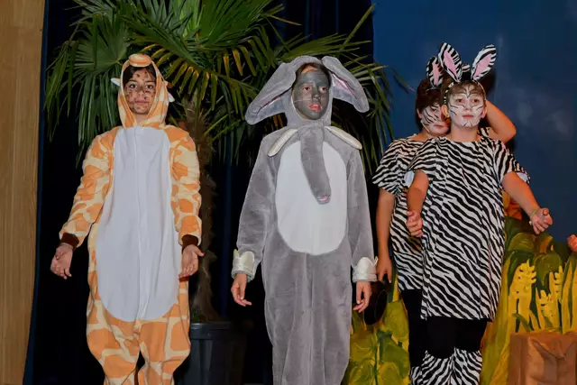 Foto: (c) Gerhard Schwingenschlögl