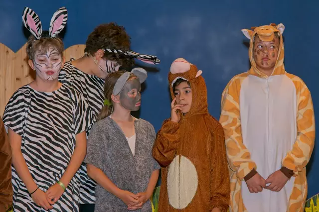 Foto: (c) Gerhard Schwingenschlögl