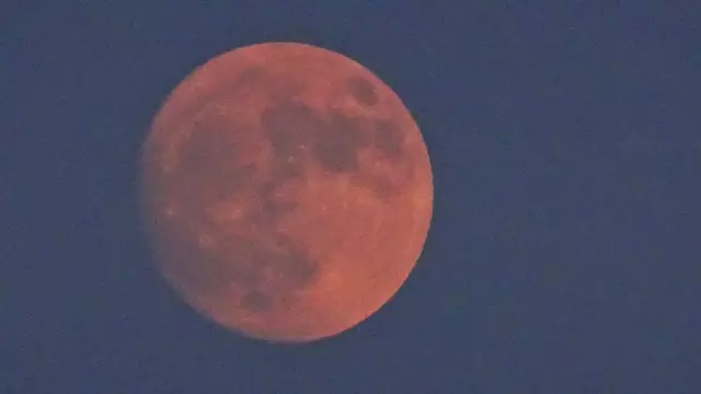 - Titelfoto 3 / 09.06.2025, 20:16 -
... der Juni-Vollmond war bereits zu 95 % sichtbar und zeigte sich in rosafarbenem bis blassrotem Ton.   | Foto: © Silvia Plischek