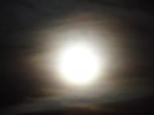 - Fotos 26 bis 28 / 11.06.2025, 23:08 bis 23:09 - | Foto: © Silvia Plischek