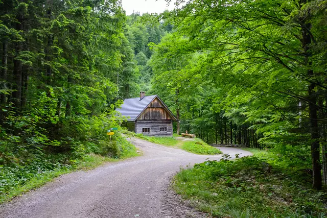 Mit dem Pedersen auf die Ebenforstalm