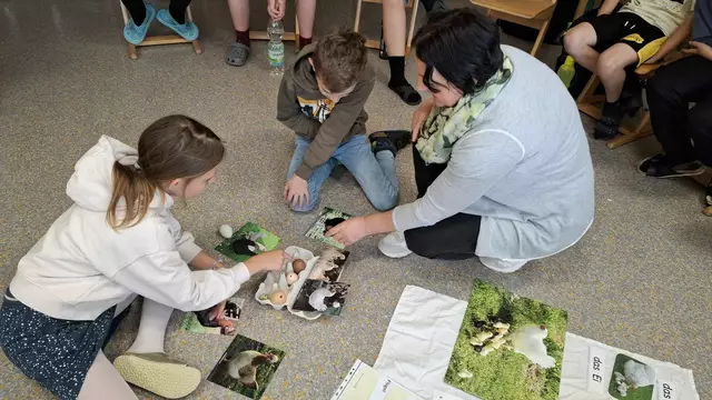 Eine Seminarbäuerin hat den Schülern der Mittelschule Raab alles übers Ei erklärt.  | Foto: MS Raab