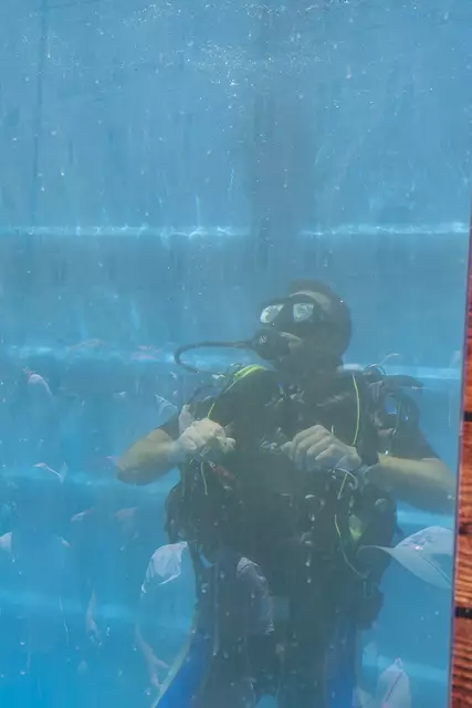 Foto: Klaus Weingartner