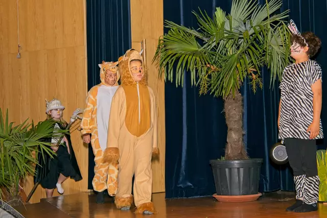 Foto: (c) Gerhard Schwingenschlögl