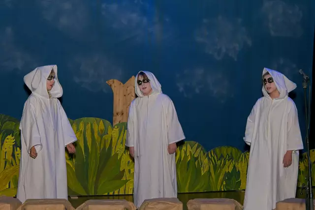 Foto: (c) Gerhard Schwingenschlögl