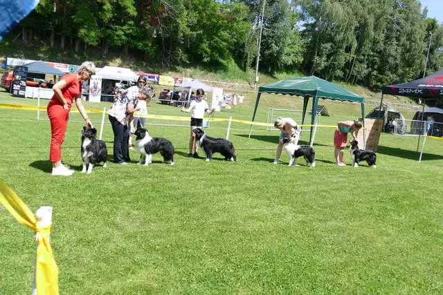 Äußerst folgsam warteten die Collies mit ihren Besitzerinnen auf ihren Auftritt vor der Jury | Foto: Putz