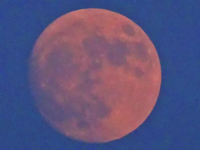 - Fotos 8 bis 14 / 09.06.2025, 20:16 bis 20:22 -
... dennoch lässt das reflektierte Sonnenlicht den Juni-Mond oft rötlicher wirken. ... Kann sein, muss aber nicht! 😏 … | Foto: © Silvia Plischek