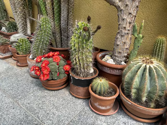 Foto: MeinBezirk/Kirschner