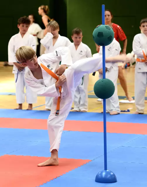 Der Karate-Cup fand in der Stadthalle Fürstenfeld statt. | Foto: Karateverband Steiermark