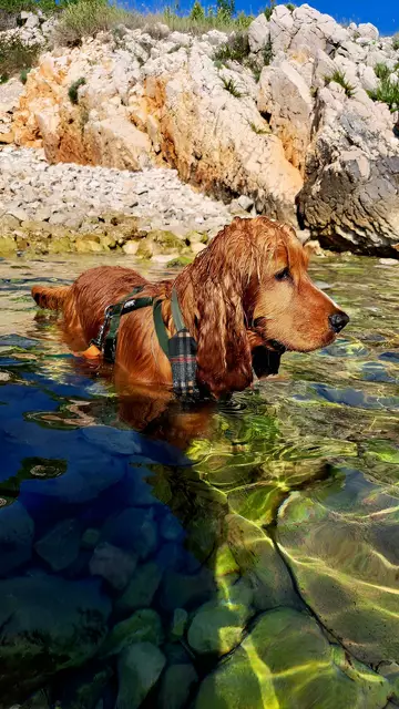 Meer oder Bäche sind eine willkommene Abkühlung bei Hitze. | Foto: MeinBezirk