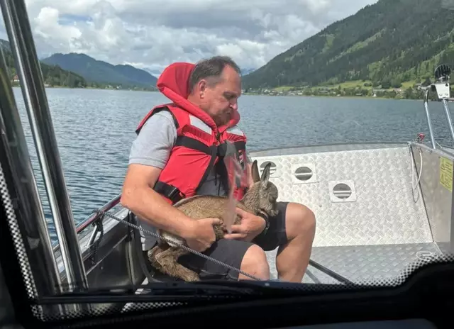 Hier sieht man das kleine Tier. | Foto: Feuerwehr Weissensee
