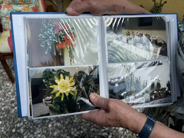 Foto: MeinBezirk/Kirschner