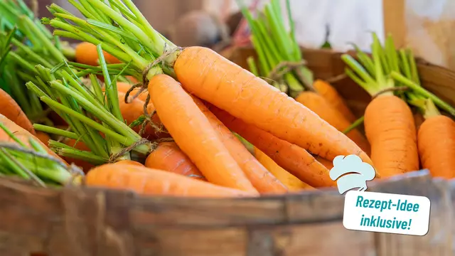 Orange Power aus der Natur: Karotten bringen Farbe auf den Teller – und Schwung in deinen Stoffwechsel!