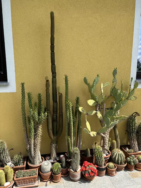 Foto: MeinBezirk/Kirschner