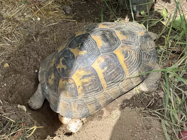 Foto: Waltraud Fischer