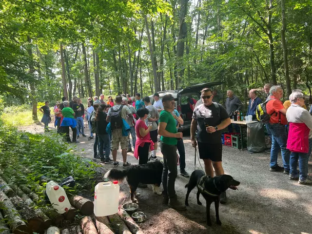Viele Wanderfreunde starteten bei herrlichem Wetter vom Ortszentrum aus in Richtung „Marzer Narren“ im Wald. | Foto: ARBÖ MARZ