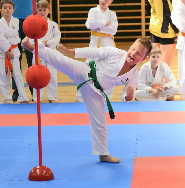 Die jungen Athletinnen und Athleten zeigten erstaunliche Konzentration. | Foto: Karateverband Steiermark