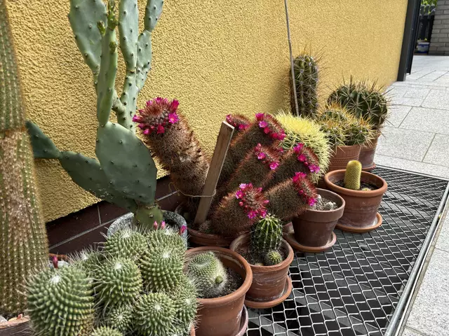 Foto: MeinBezirk/Kirschner