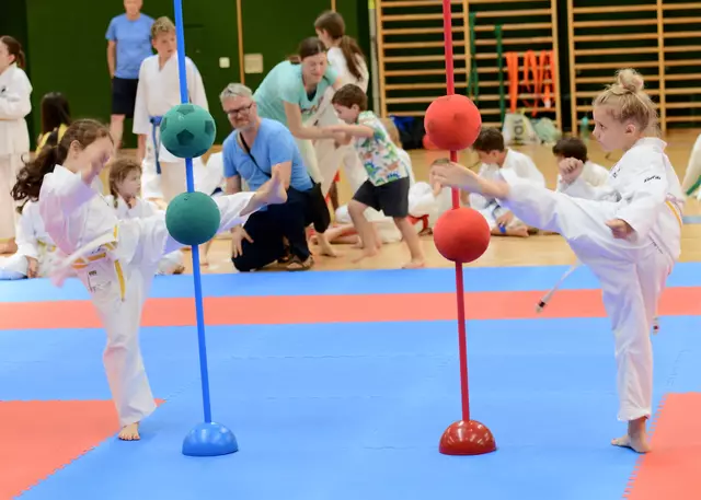 Beim ASVÖ-Karate-Cup zeigten 71 junge Karatekas aus der ganzen Steiermark ihr Können. | Foto: Karateverband Steiermark