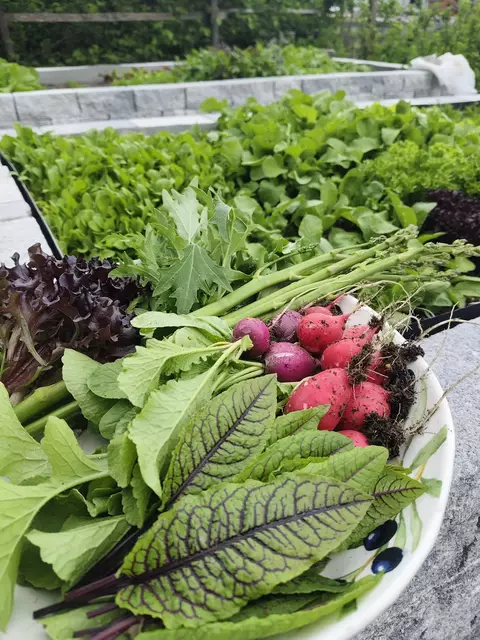 Vor allem Gemüse und Salat sind tolle Lebensmittel für den Sommer. | Foto: Mein Bezirk