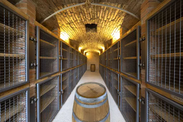 Weinkeller | Foto: marena