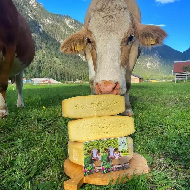 Foto: Käserei Ugovizza