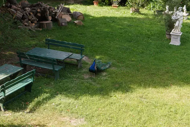 Foto: Bernhard Kerezsi