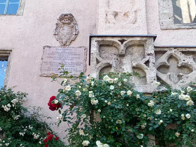 Foto: H.Bachinger 