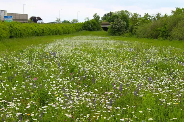 Neben der B68 in Hofstätten an der Raab 8Bezirk Weiz) kann man die Aktion bereits in Augenschein nehmen. | Foto: STED