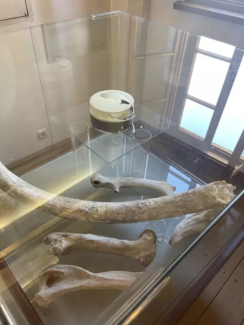 Foto: Josef Goldhofer